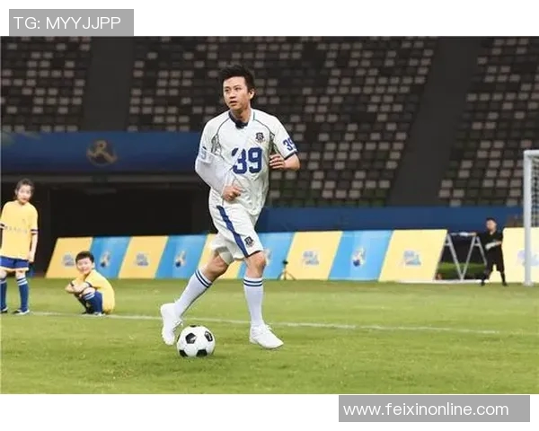 追寻梦想的绿茵传奇我的理想足球明星百人榜